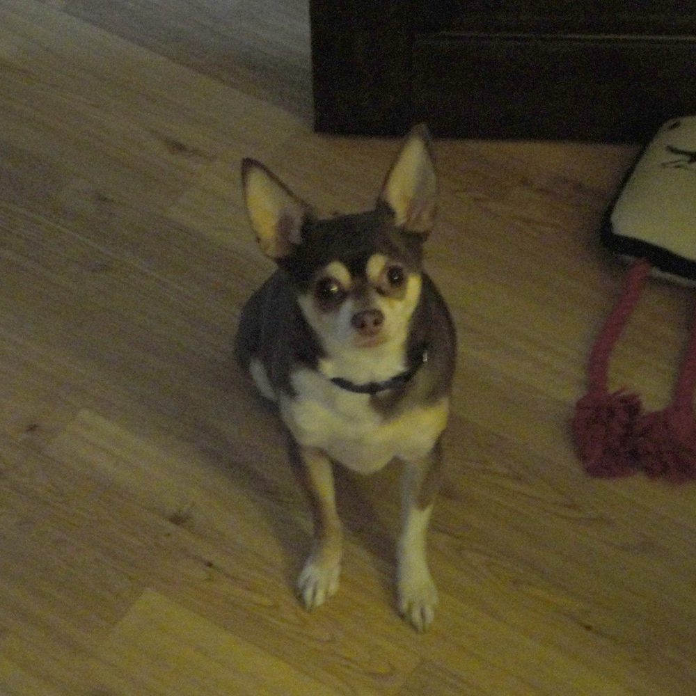 Meet your Posher, Michele